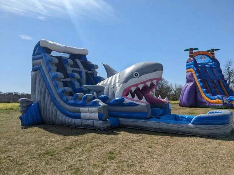 Water Slide Rentals Water Slide Rentals
